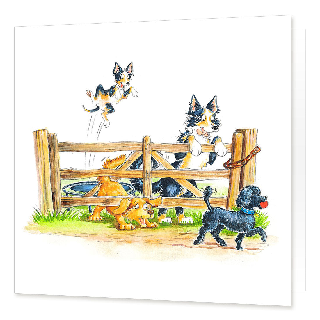 Country Comicals "Spring Loaded" Greetings Card by Linda Birkinshaw