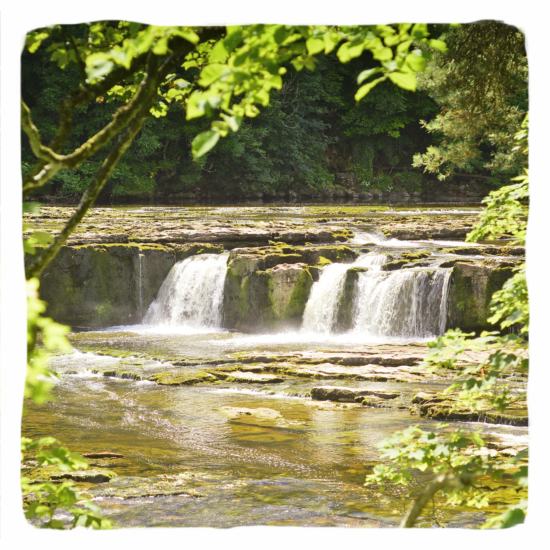 Aysgarth Falls Greetings Card