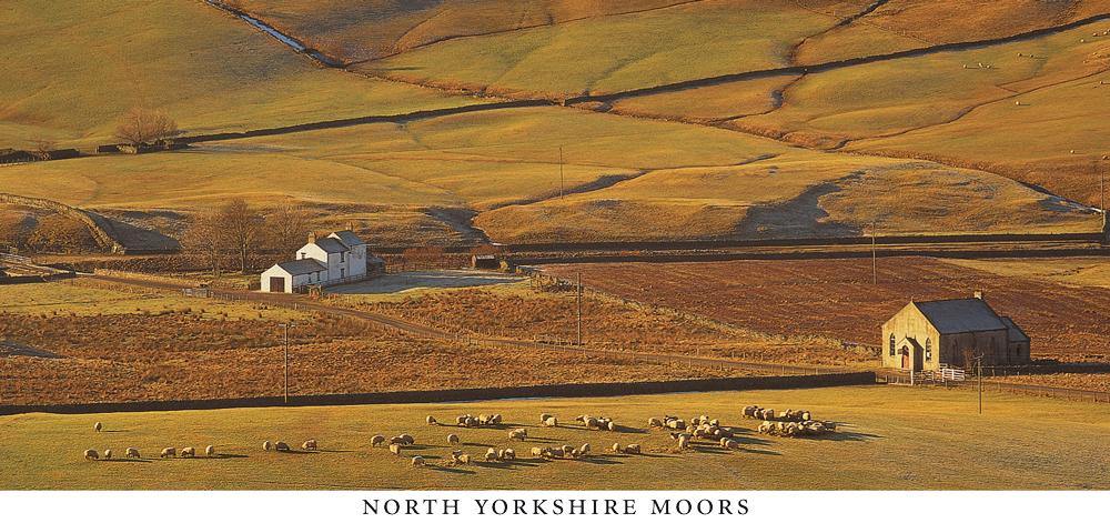 North Yorkshire Moors postcard | Cardtoons Publications
