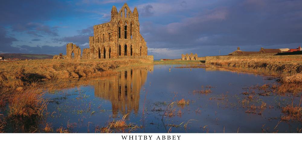 Whitby Abbey postcard | Cardtoons Publications