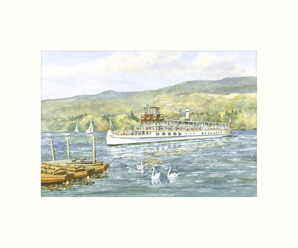 Tern Cruiser art print - Cardtoons Publications
