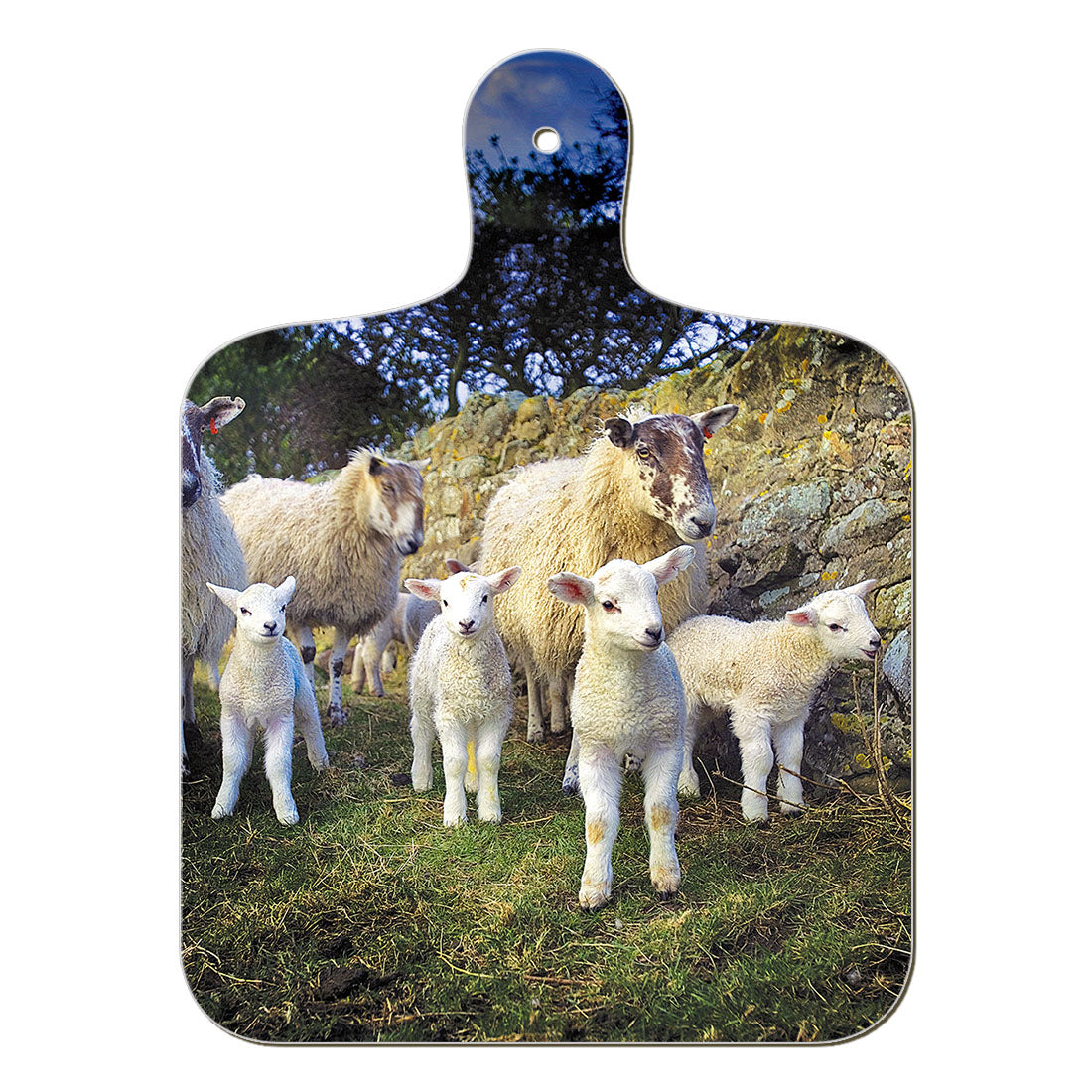 Lamb Gang chopping board - Cardtoons Publications