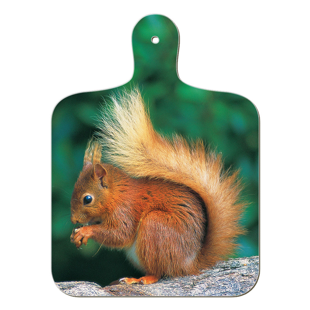 Red Squirrel chopping board - Cardtoons Publications