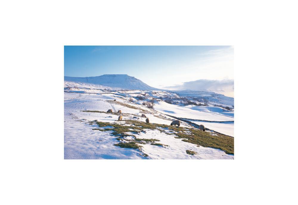 Ingleborough Snow postcard | Cardtoons Publications