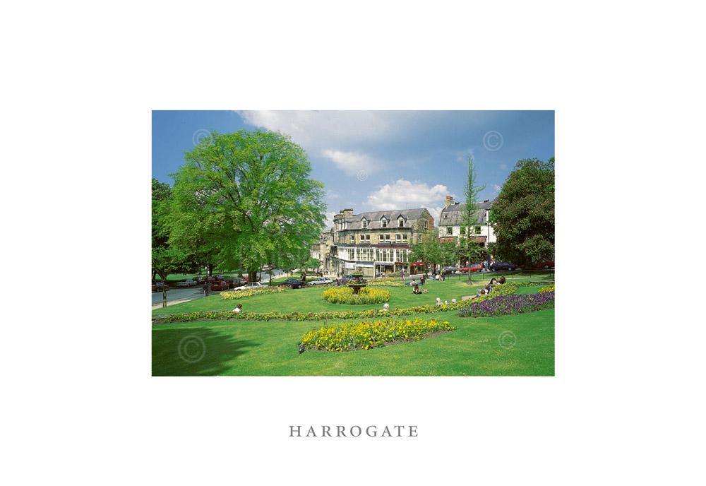 Harrogate postcard | Cardtoons Publications