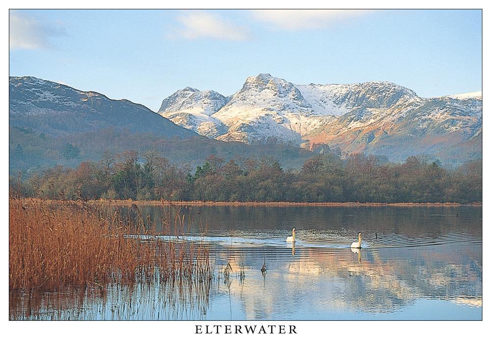 Elterwater and the Langdale Pikes postcard | Cardtoons Publications