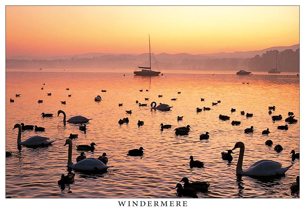 Swan lake, Windermere postcard | Cardtoons Publications