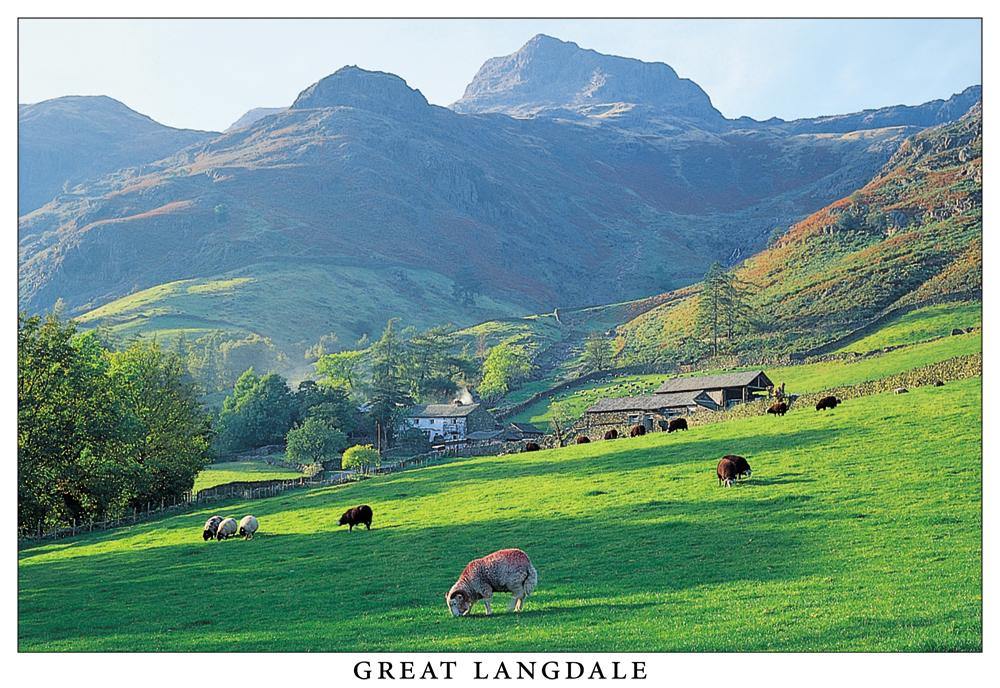 Mill Beck, Great Langdale | Cardtoons Publications
