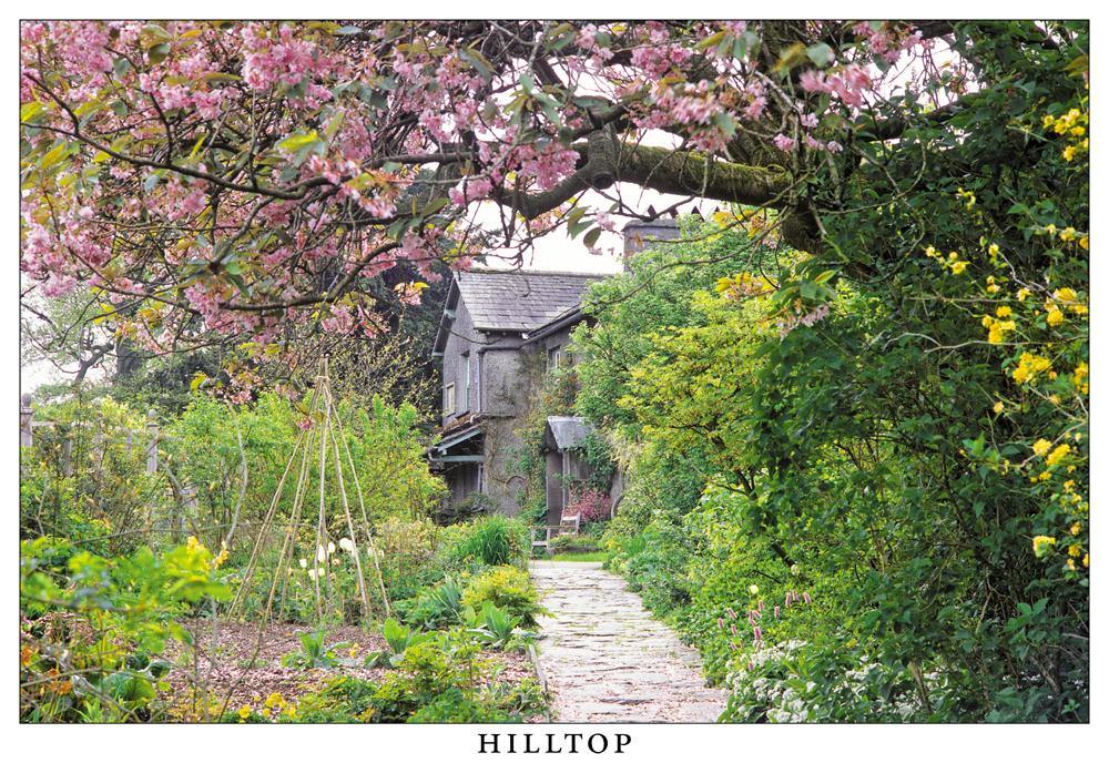 Hilltop postcard | Cardtoons Publications