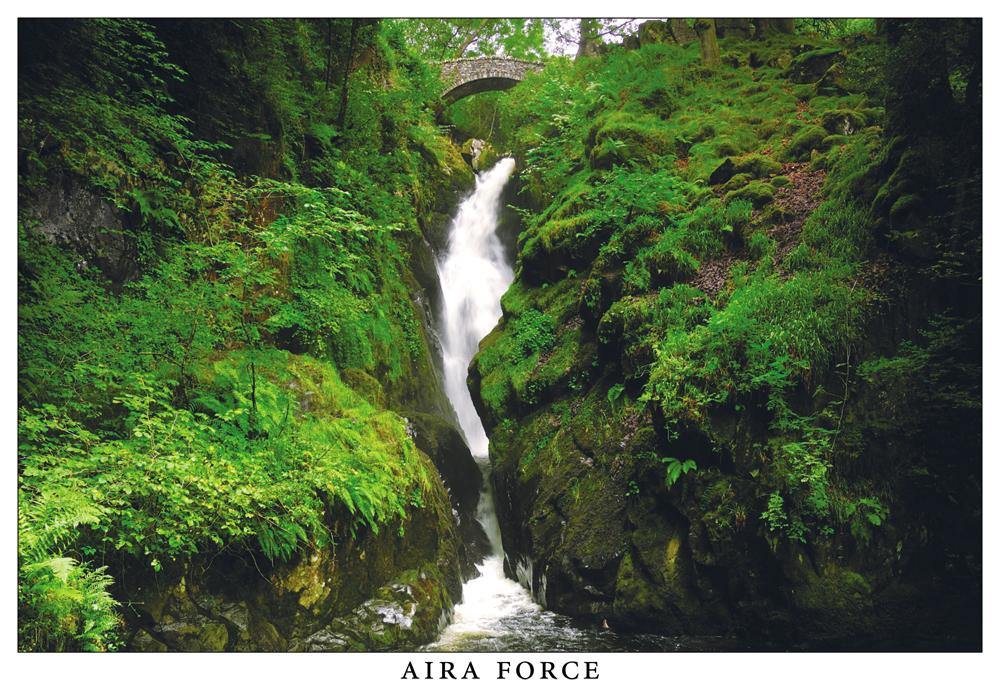 Aira Force Postcard | Cardtoons Publications