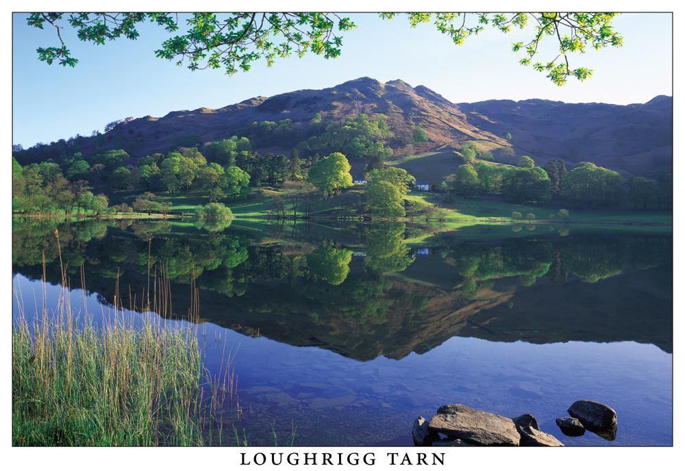 Loughrigg Tarn postcard | Cardtoons Publications