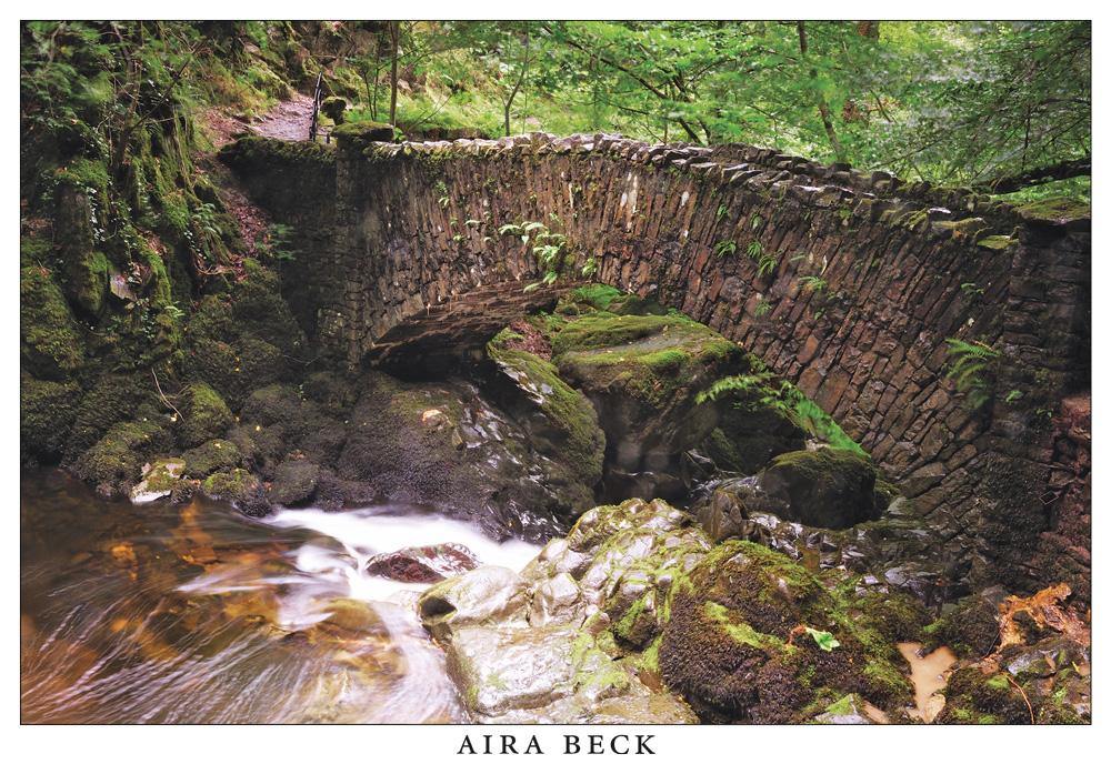 Aira Beck, near Ullswater Postcard | Cardtoons Publications