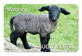 Matching Lugs & Legs flexible fridge magnet | Great Stuff from Cardtoons