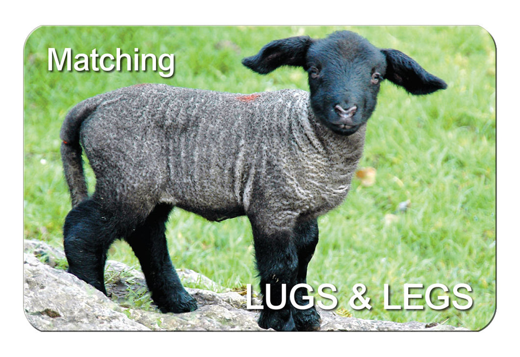 Matching Lugs & Legs flexible fridge magnet - Cardtoons Publications