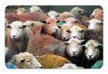 The Herdwick Gang flexible fridge magnet | Great Stuff from Cardtoons