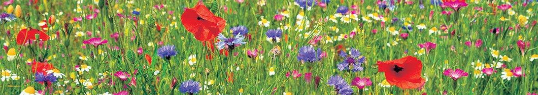 Wild Flower Meadow bookmark - Cardtoons Publications