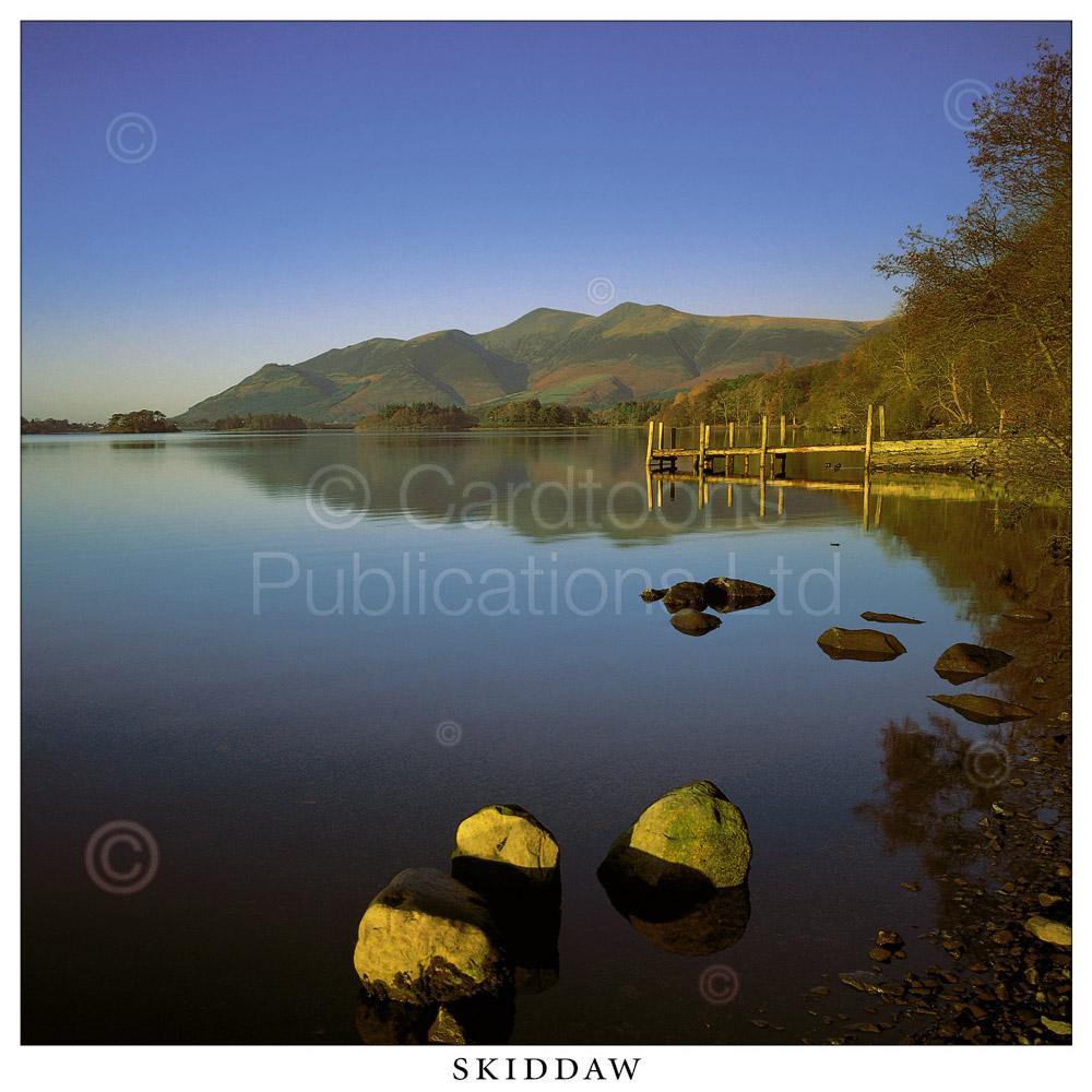 Skiddaw Square Postcard by Cardtoons