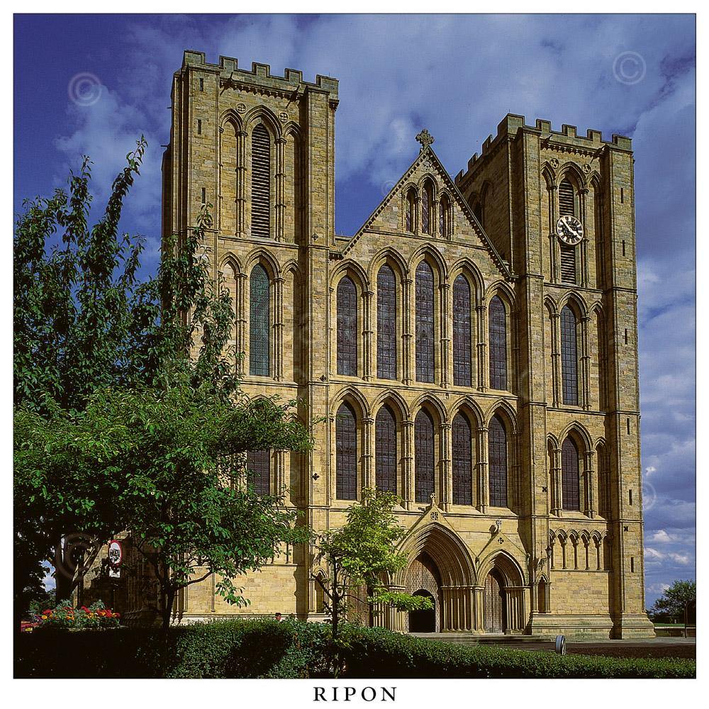 Ripon Cathedral Square Postcard by Cardtoons