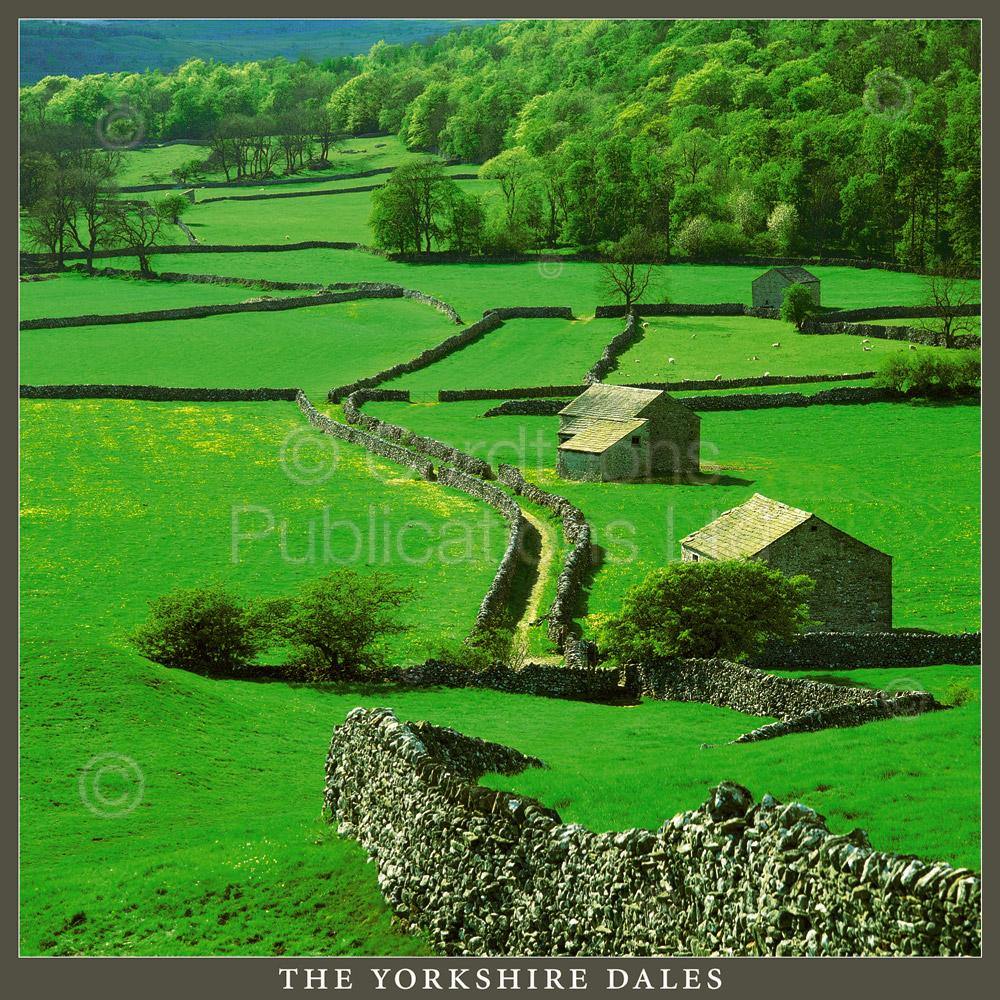 The Yorkshire Dales Square Postcard by Cardtoons