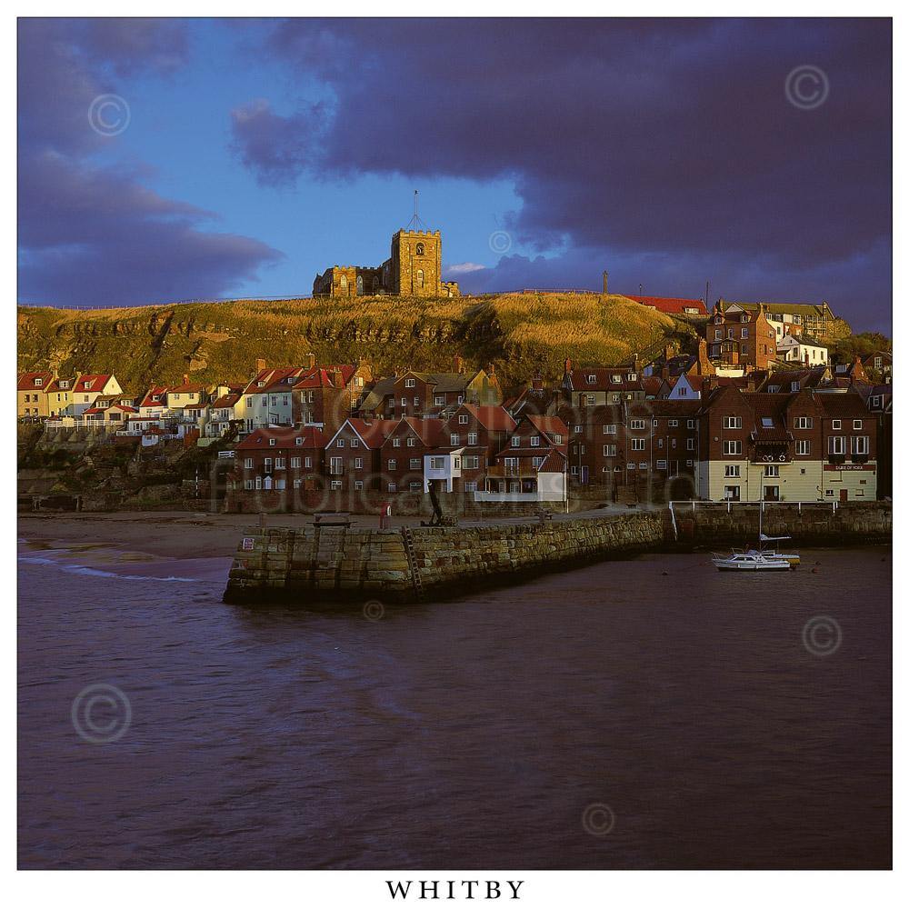 Whitby Square Postcard by Cardtoons