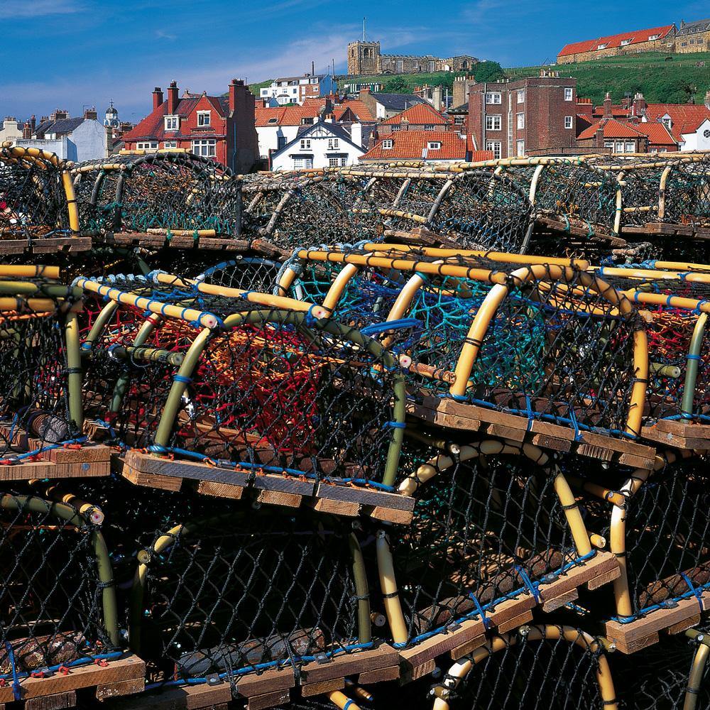 Lobster Pots Square Postcard by Cardtoons