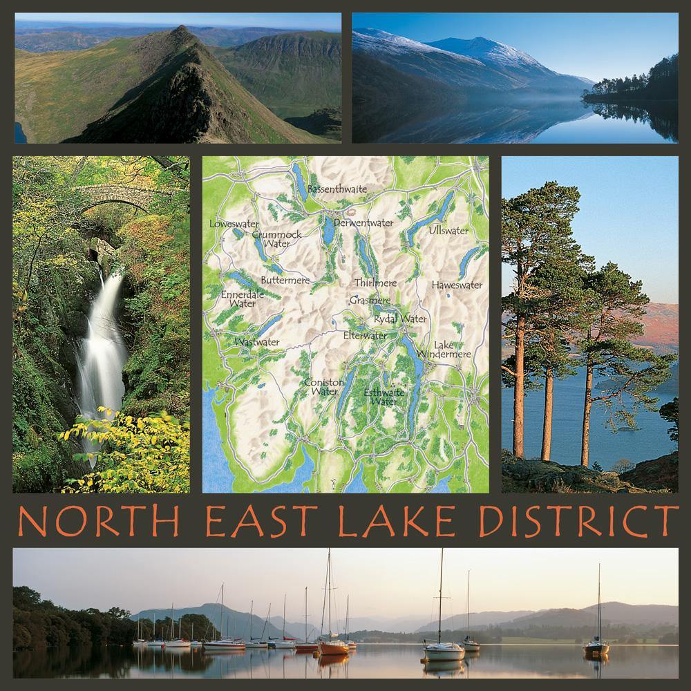 North East Lake District Square Postcard by Cardtoons