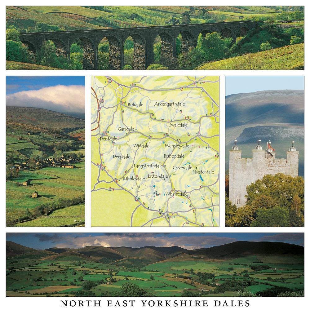 North West Yorkshire Dales Square Postcard by Cardtoons