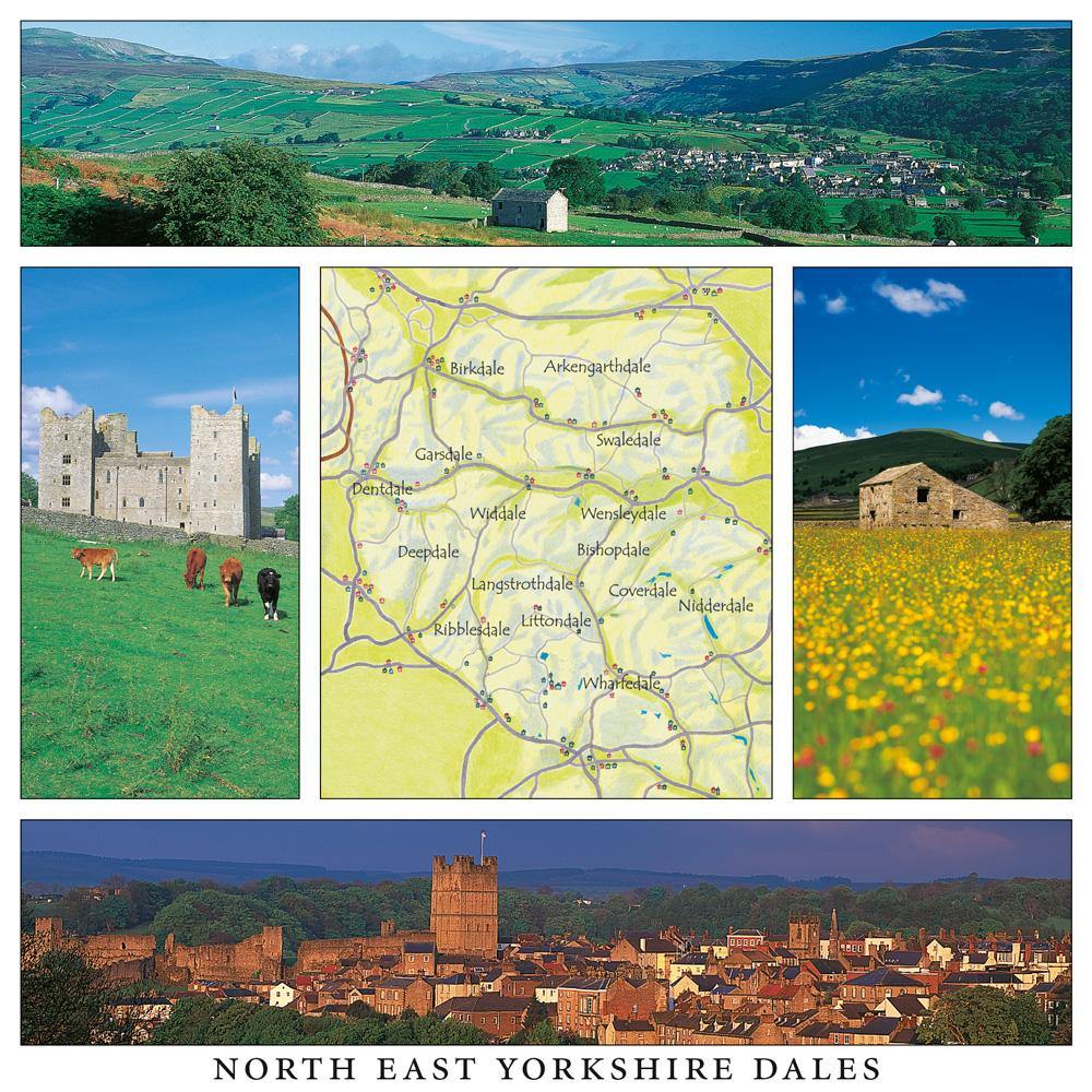 North East Yorkshire Dales Square Postcard by Cardtoons
