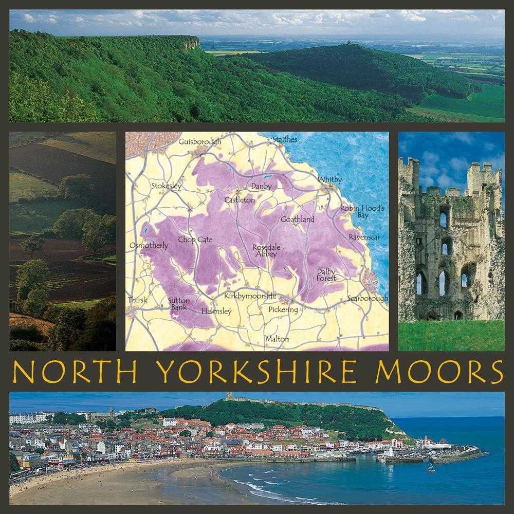 North Yorkshire Moors Square Postcard by Cardtoons