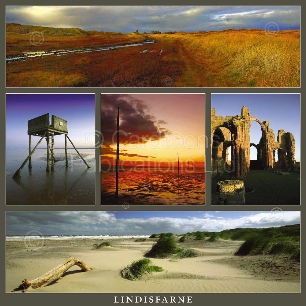 Lindisfarne Square Postcard by Cardtoons