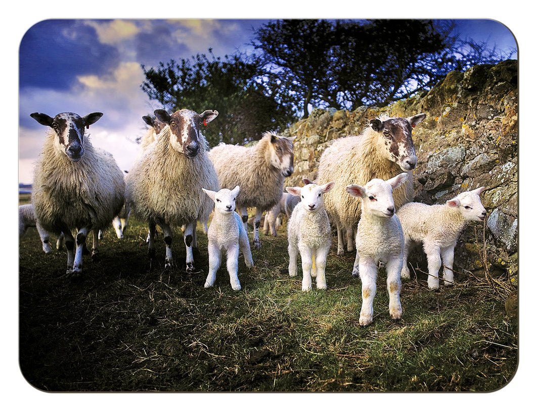 The Lamb Gang tablemat from the Landmark Photographic range of gifts