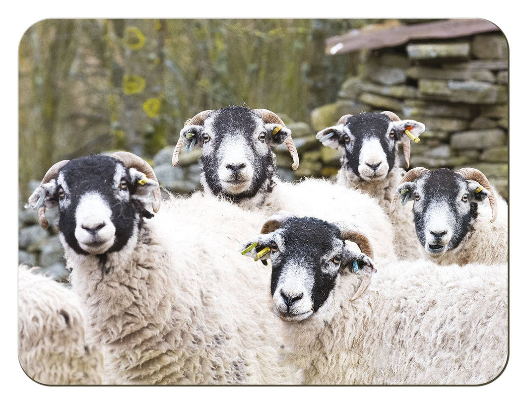 Swaledale Sheep tablemat from the Landmark Photographic range of gifts