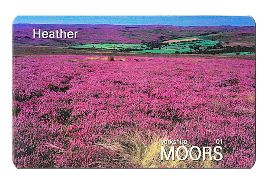 Heather flexible fridge magnet | Cardtoons