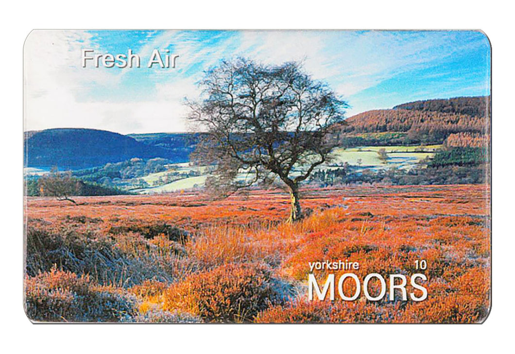 Fresh Air flexible fridge magnet | Cardtoons