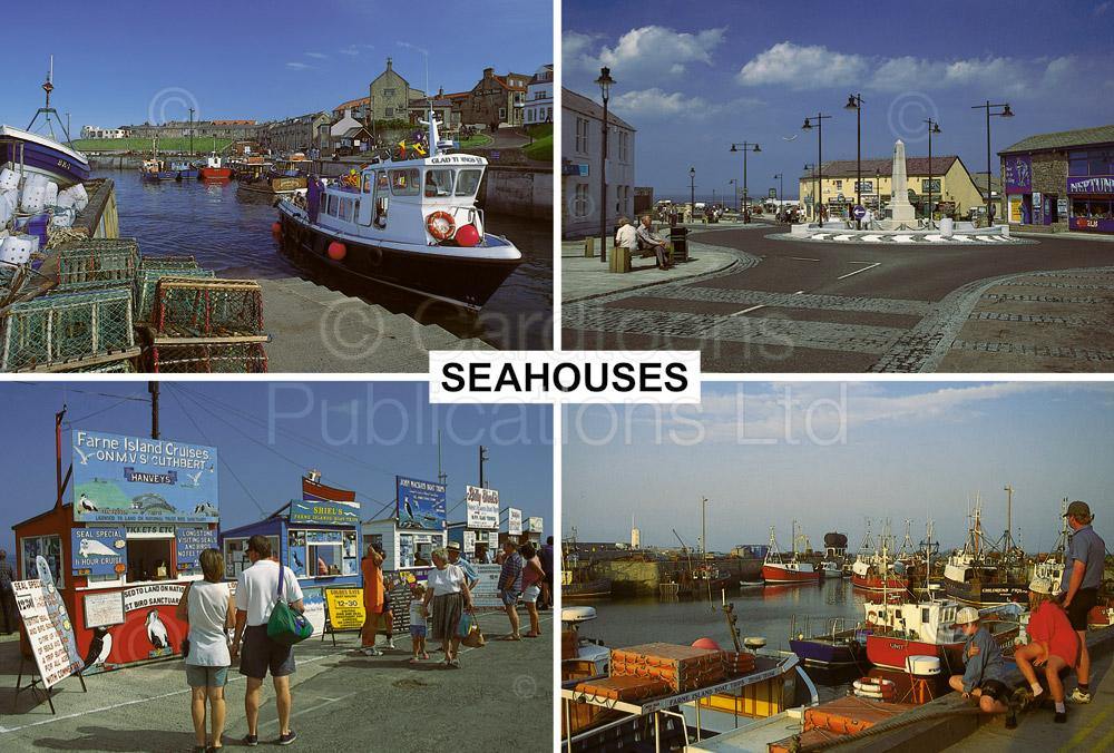 Seahouses postcard | Cardtoons Publications