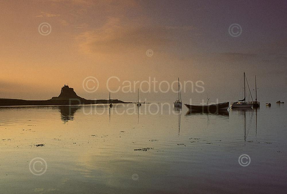 Lindisfarne Harbour at dawn postcard | Cardtoons Publications