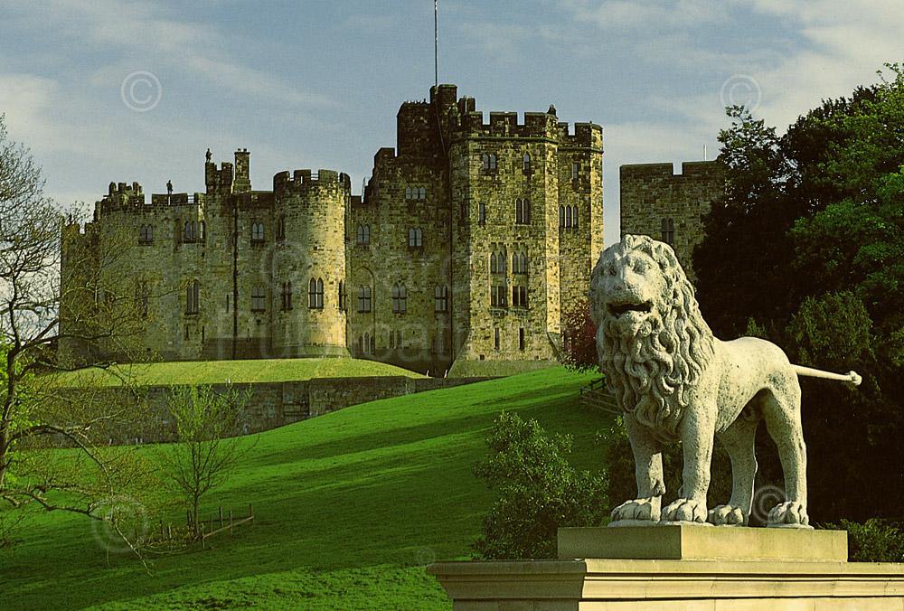 Alnwick Castle & Percy Lion Postcard | Cardtoons Publications