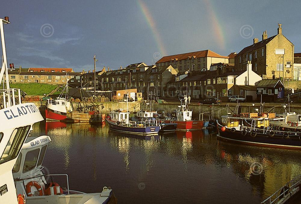 Seahouses Harbour with rainbows postcard | Cardtoons Publications