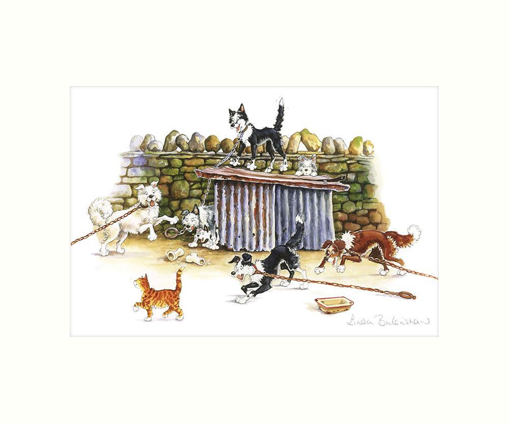 "The Cat Walk" Art Print | Cardtoons Publications