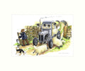 "Sheep Driving" Art Print | Cardtoons Publications