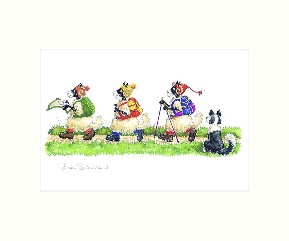 Woolly walkers art print - Cardtoons Publications