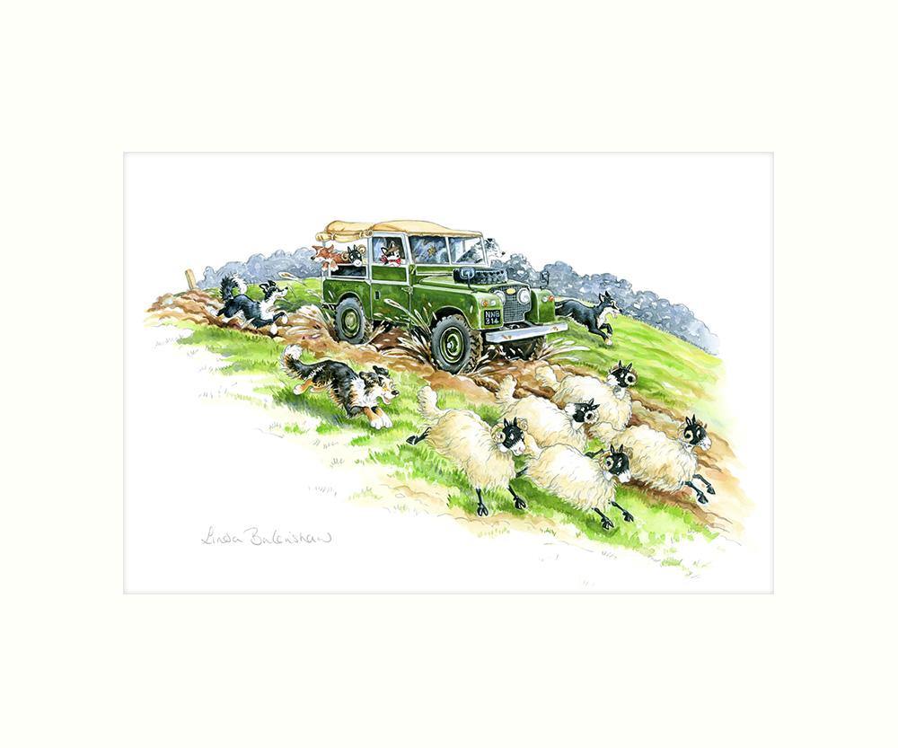 "Off Road Antics" Art Print | Cardtoons Publications