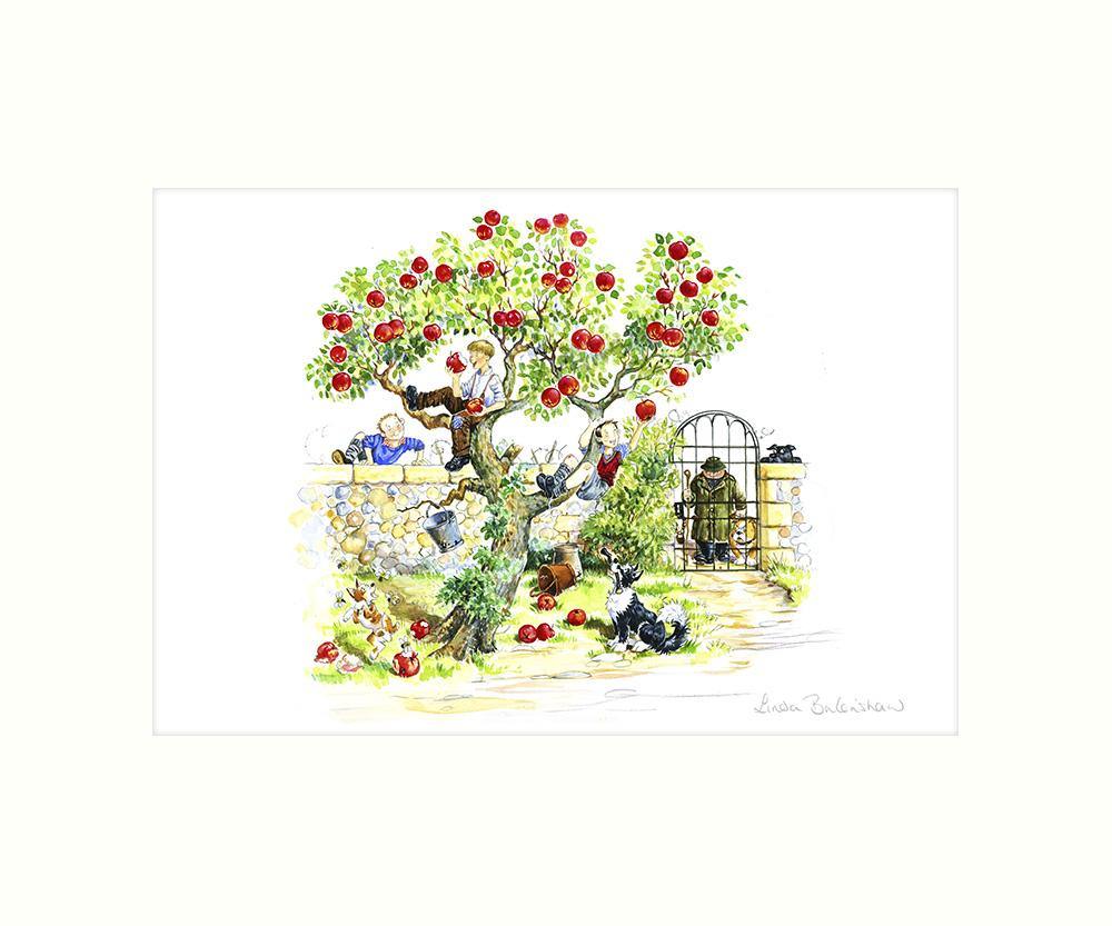 "Scrumping" Art Print | Cardtoons Publications