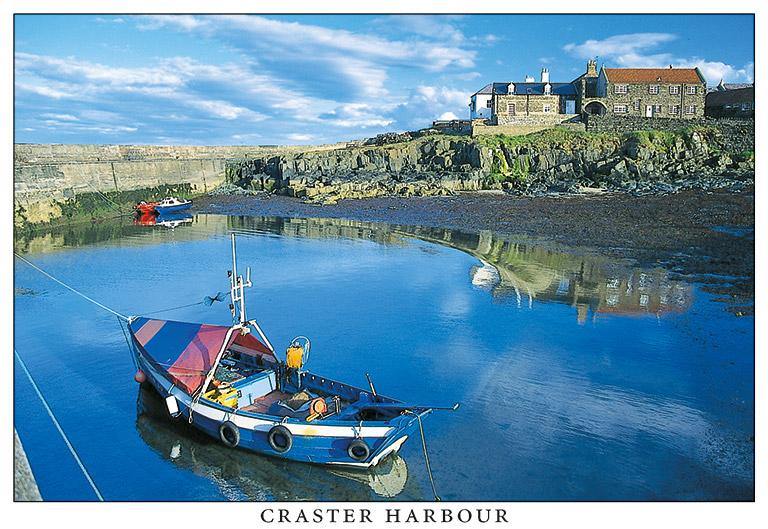 Craster Harbour postcard | Cardtoons Publications