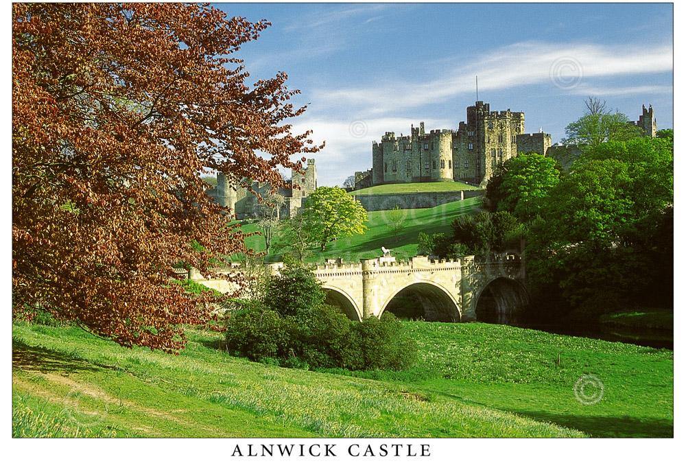 Alnwick Castle & Lion Bridge Postcard | Cardtoons Publications
