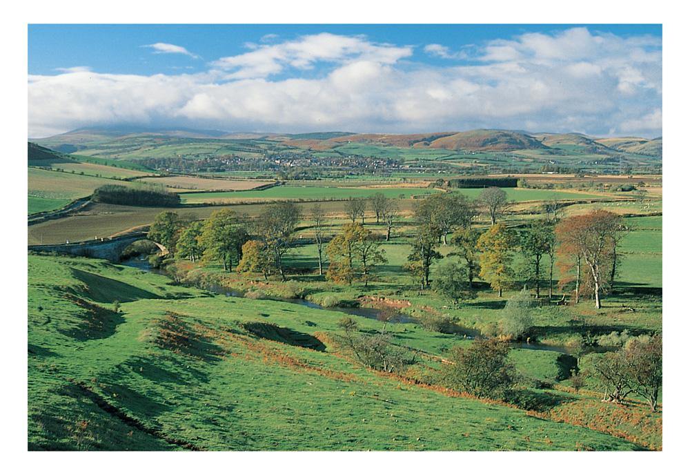 Wooler and Cheviots postcard | Cardtoons Publications