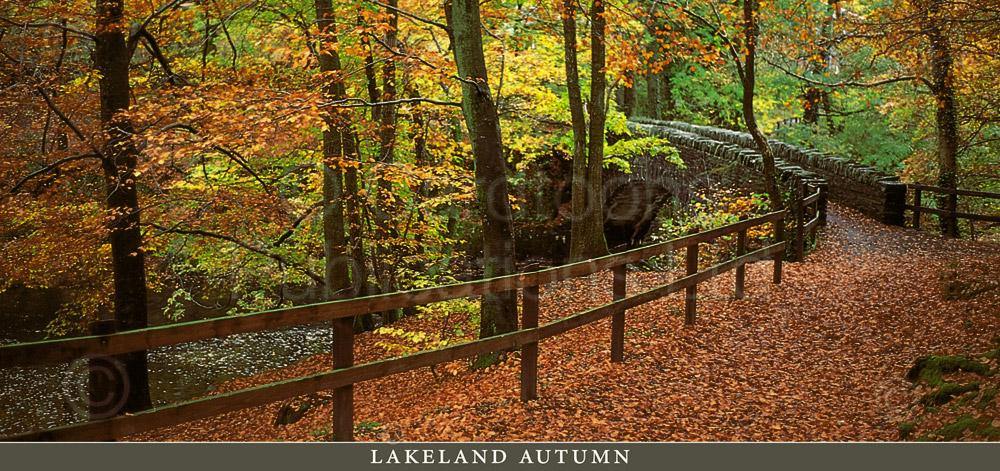 Lakeland Autumn postcard | Cardtoons Publications