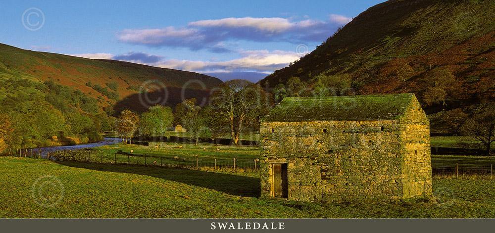 Swaledale postcard | Cardtoons Publications
