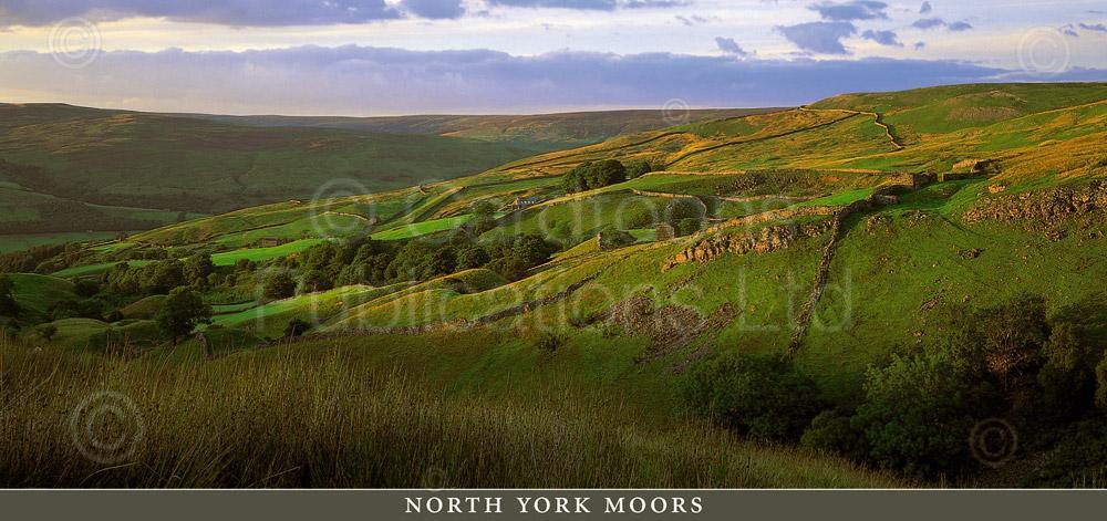 North York Moors postcard | Cardtoons Publications