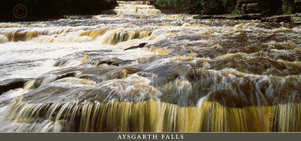 Aysgarth Falls Postcard | Cardtoons Publications